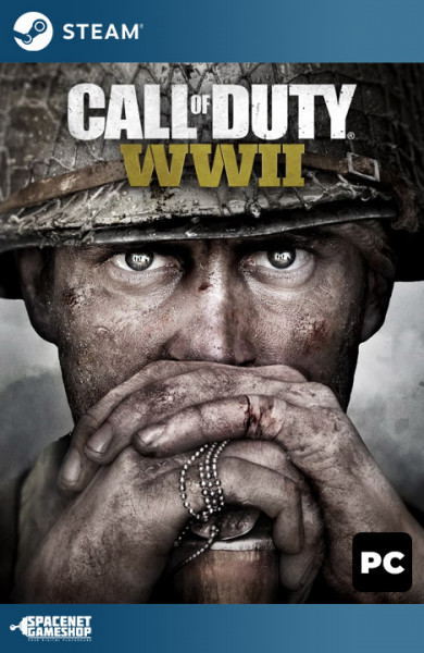 Call of Duty: WWII WW2 Steam [Account]